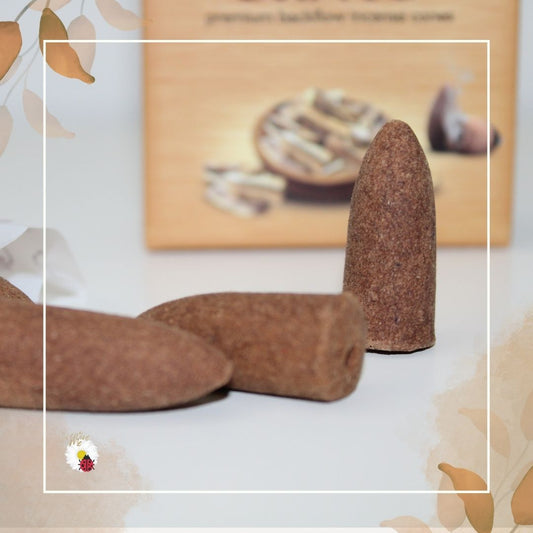 Incenso em Cone – Palo Santo