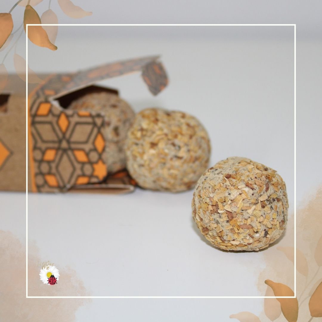 Bombitas de Defumação – Palo Santo