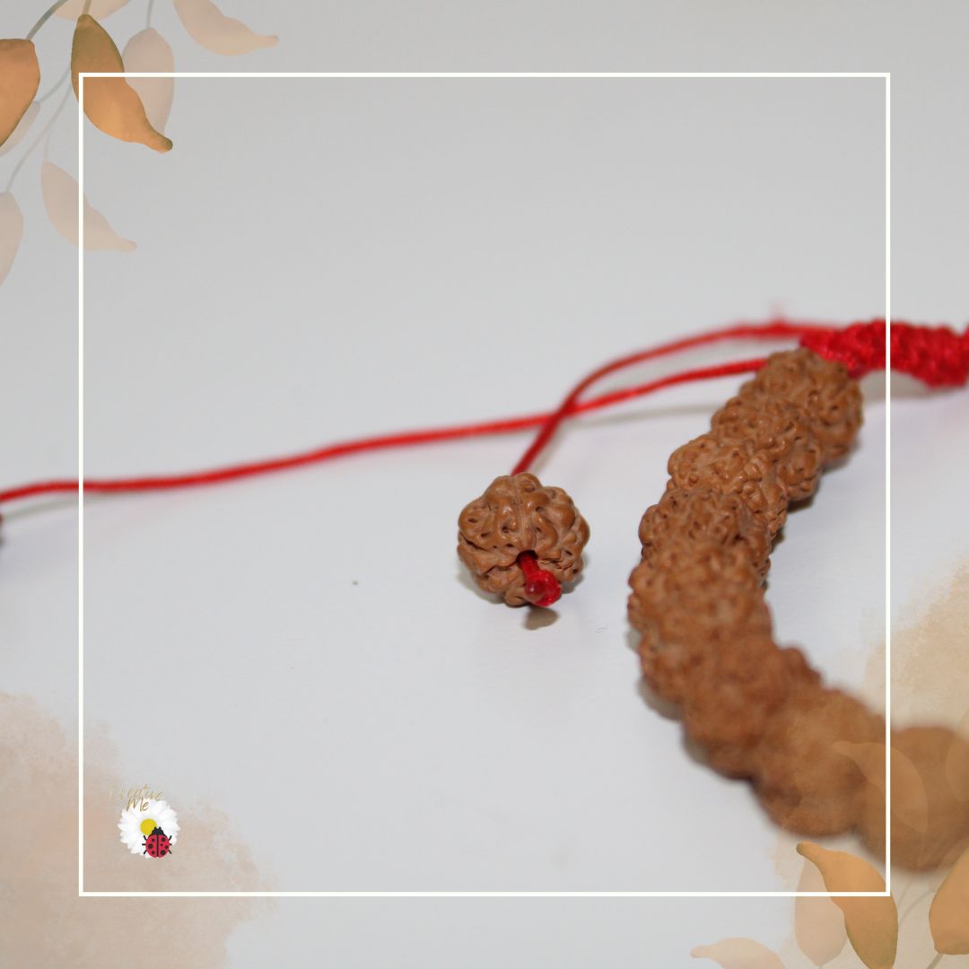 🌿 Pulseira Rudraksha Natural