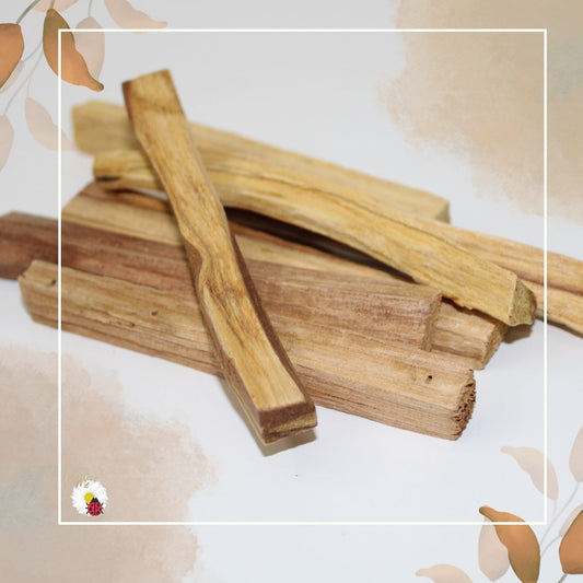 Palo Santo – Incenso Natural