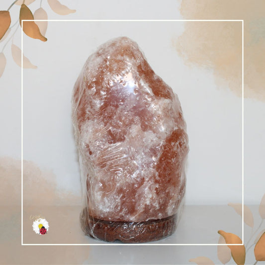 Lâmpada de Sal com Pedra Natural